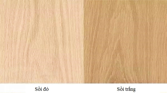 Sử dụng gỗ sồi là phương án lựa chọn tối ưu của nhiều khách hàng